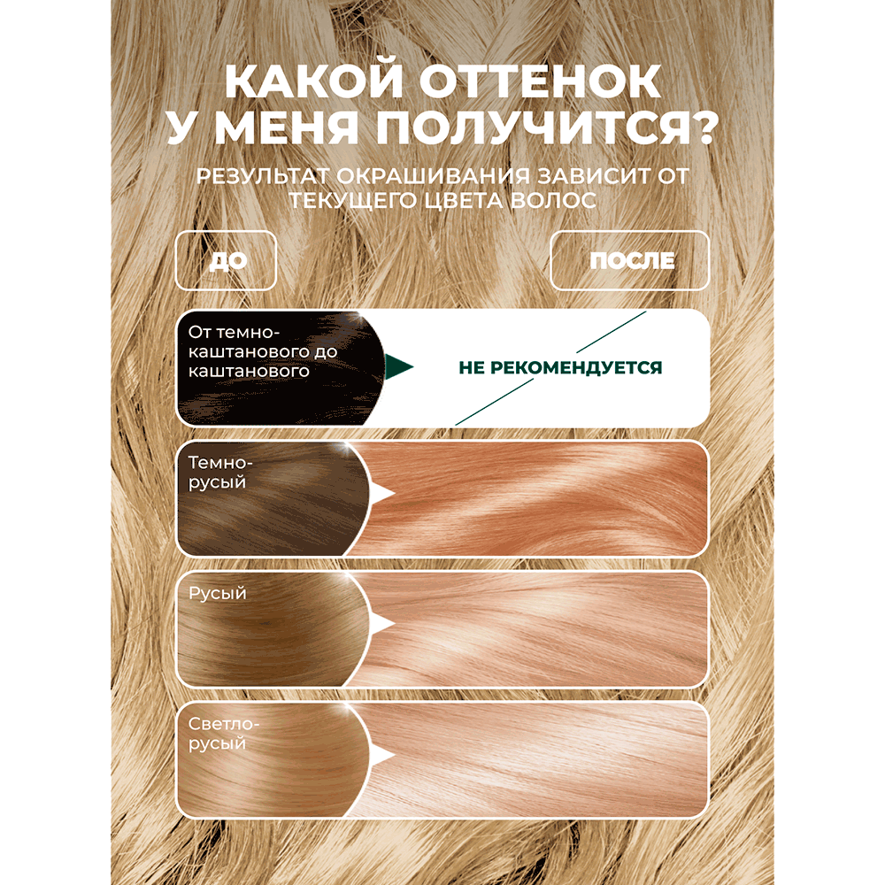 3600542631655 oz 02